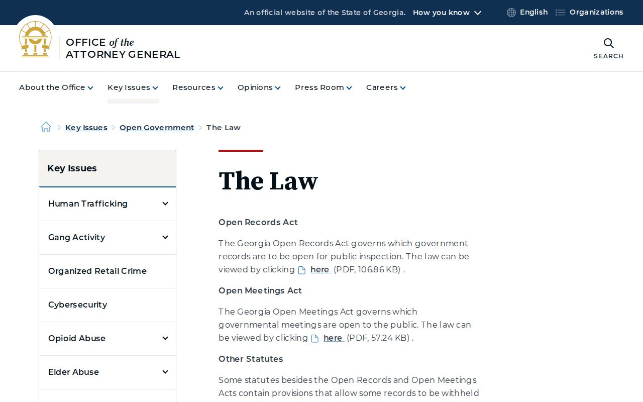 Georgia law governing Toombs County court records access